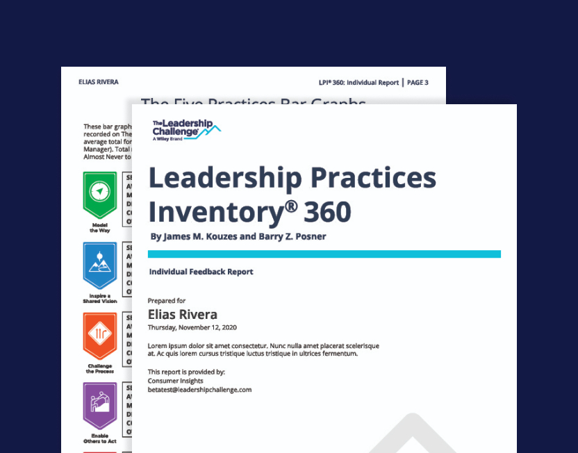 LPI 360 Report