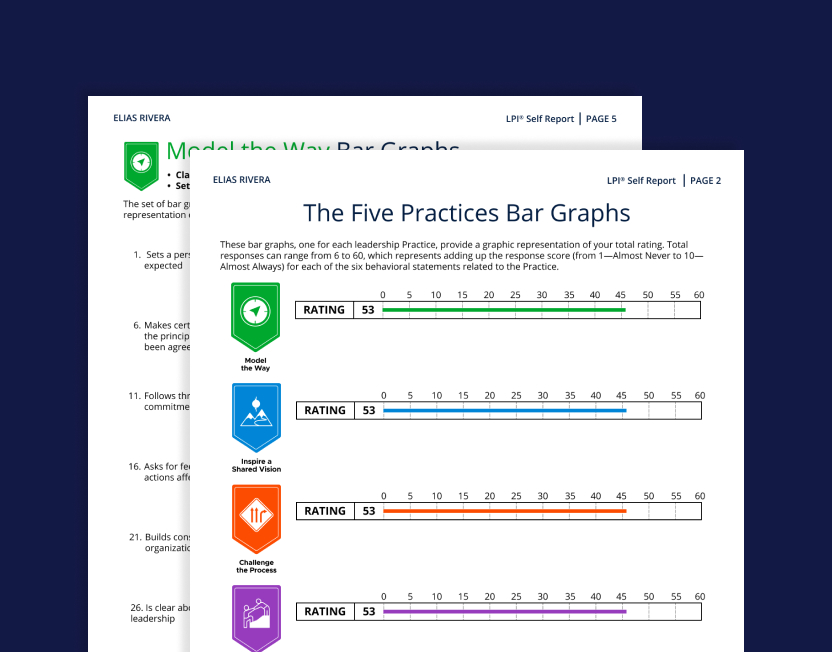 LPI Self Report